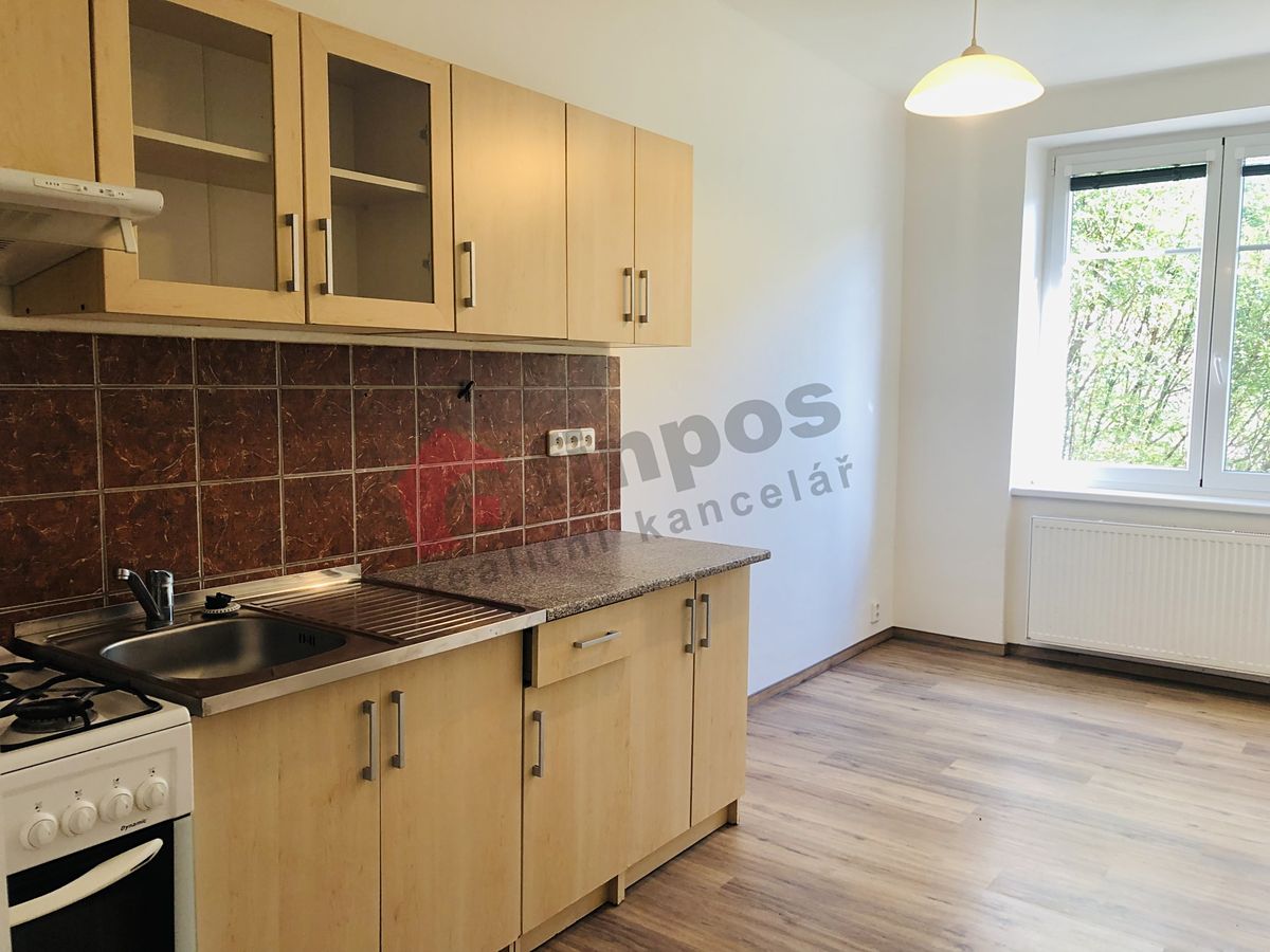 Pronájem bytu 2+1 53 m² – fotografie 2