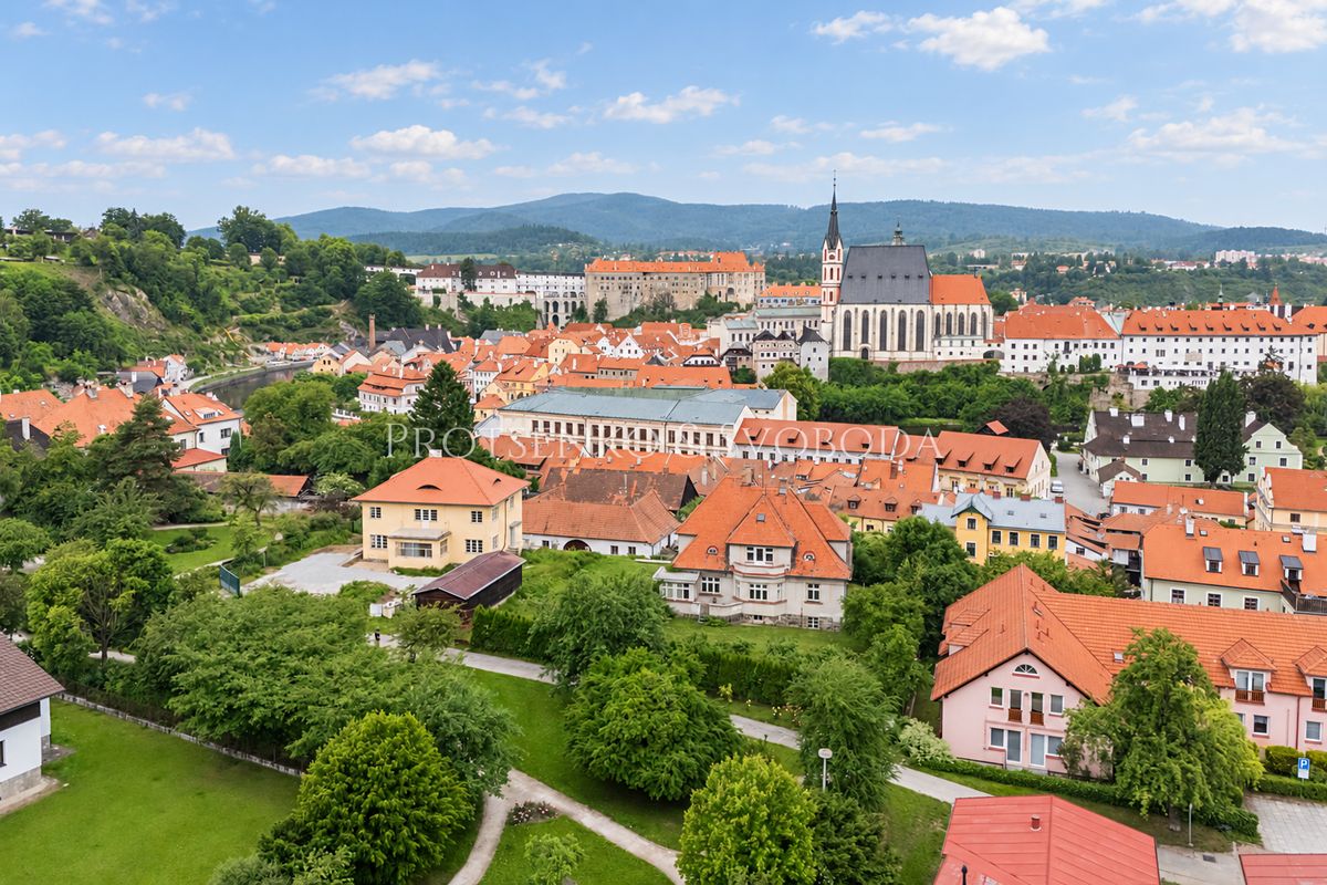 Prodej vícegeneračního domu 469 m², pozemek 874 m² – fotografie 3