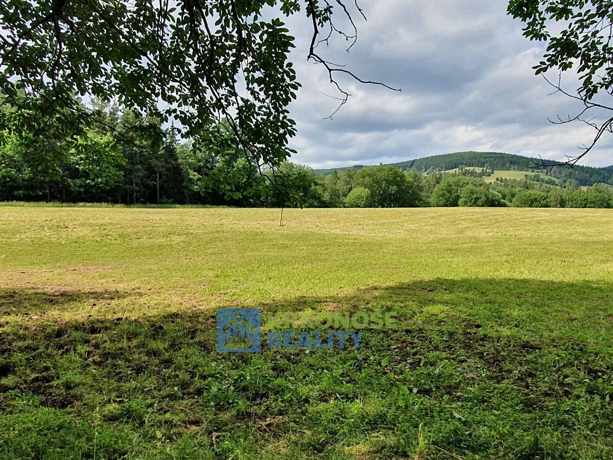 Prodej pozemku 4617 m²
