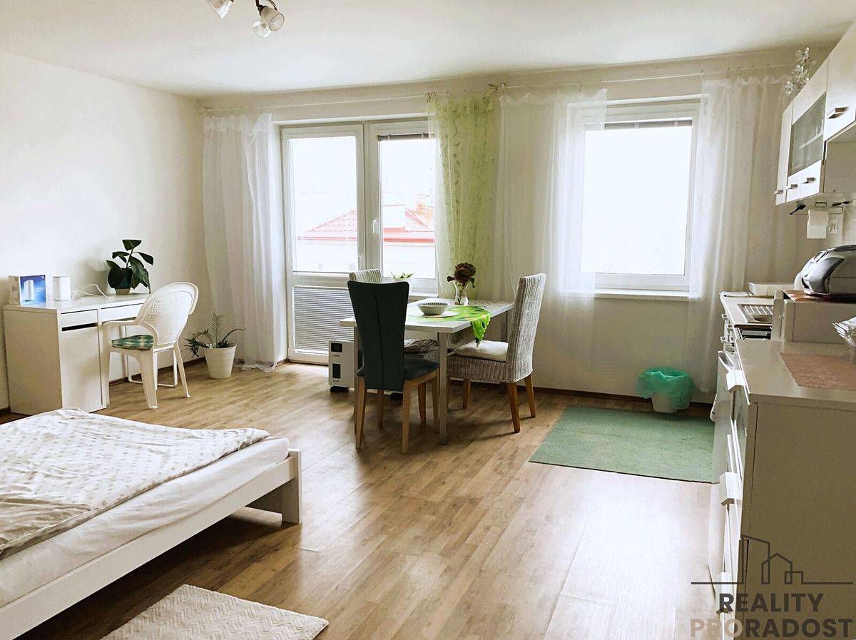 Pronájem bytu 1+kk 45 m² – fotografie 3