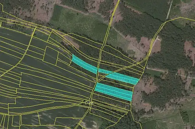 Dražba lesa 15961 m², Dírná – náhled fotky 3