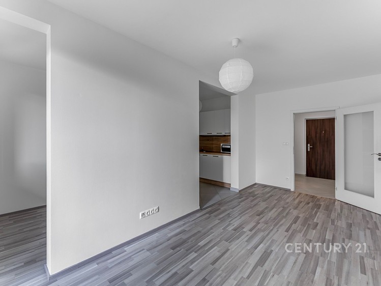 Prodej bytu 1+kk, 35 m² (4 z 21)