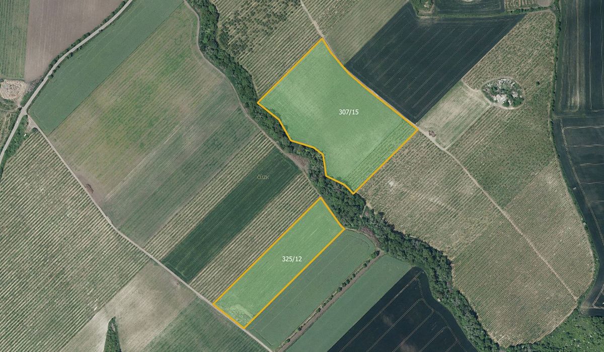 Prodej sadu, vinice 133318 m², Želkovice – fotka 1 z 3