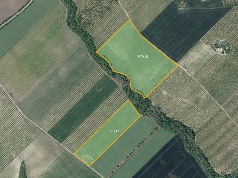Prodej sadu, vinice 133318 m², Želkovice – náhled fotky 1