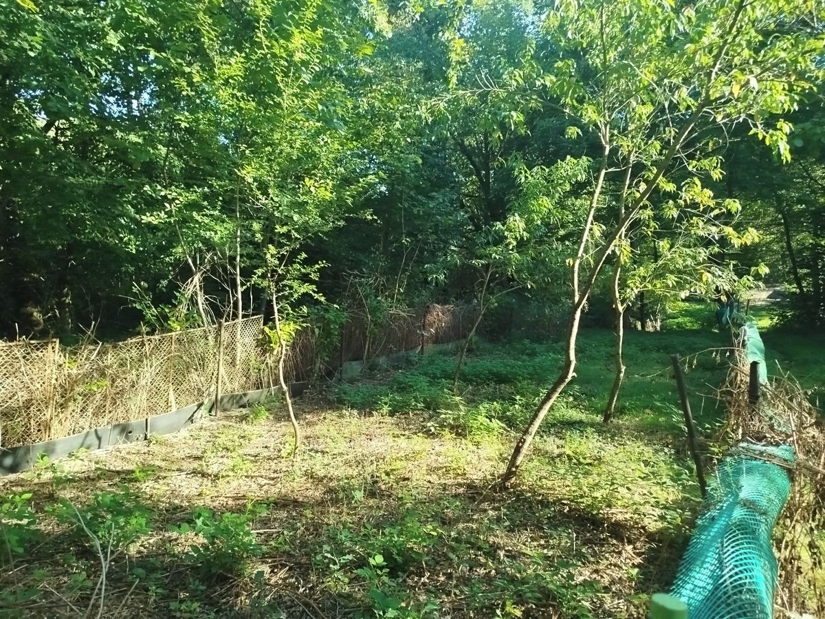 Prodej zahrady 470 m² – fotografie 3