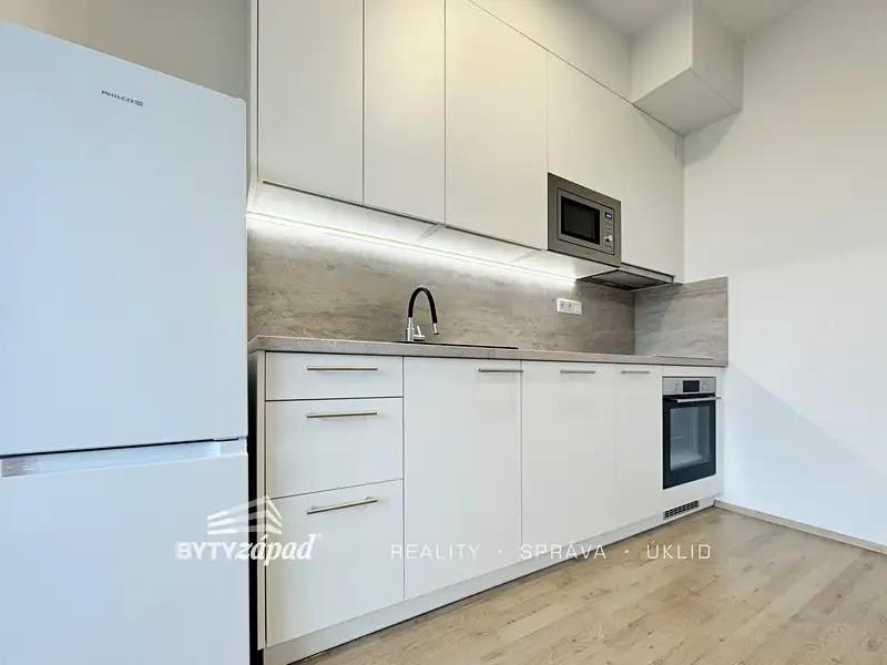Pronájem bytu 1+kk 30 m², Plzeň – náhled fotky 2