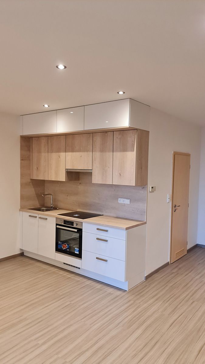 Pronájem bytu 1+kk 45 m²