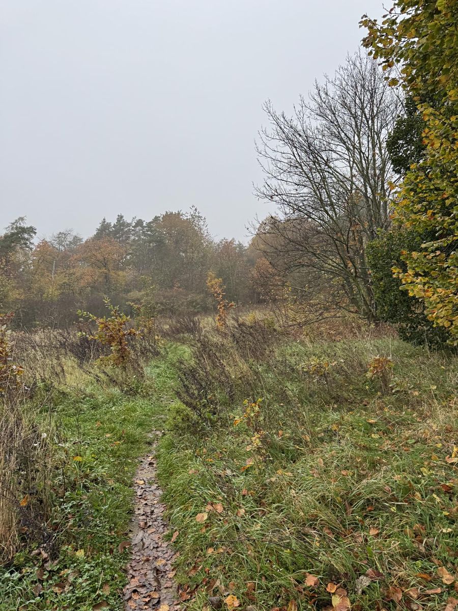 Prodej pozemku 14747 m² – fotografie 2