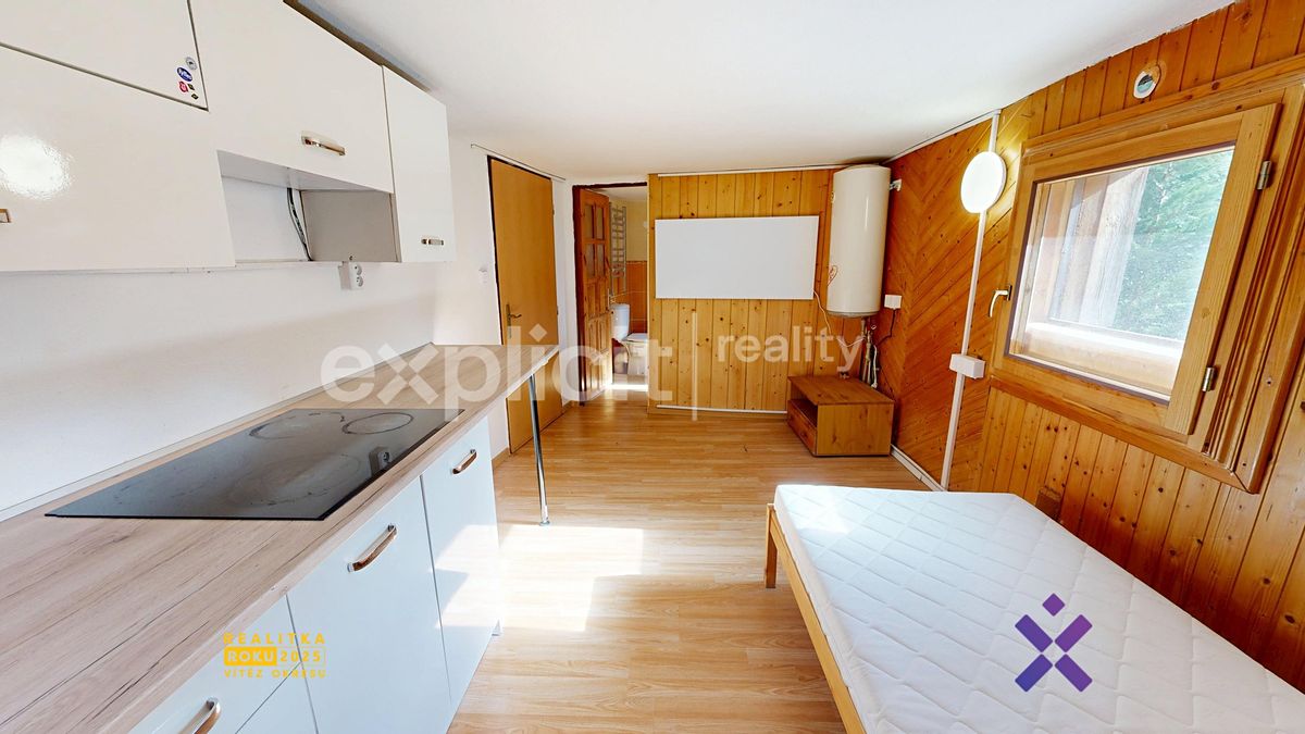 Pronájem bytu 1+kk 17 m²