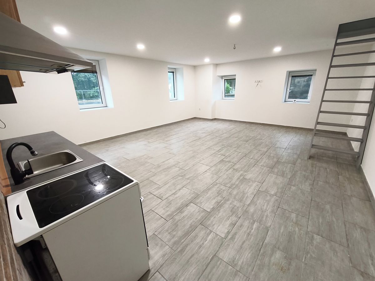 Pronájem bytu 1+1 60 m² – fotografie 2