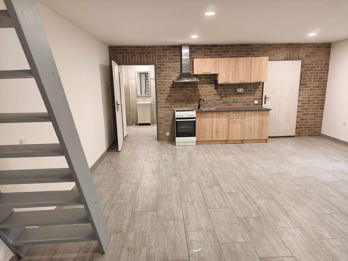 Pronájem bytu 1+1 60 m² – fotografie 4