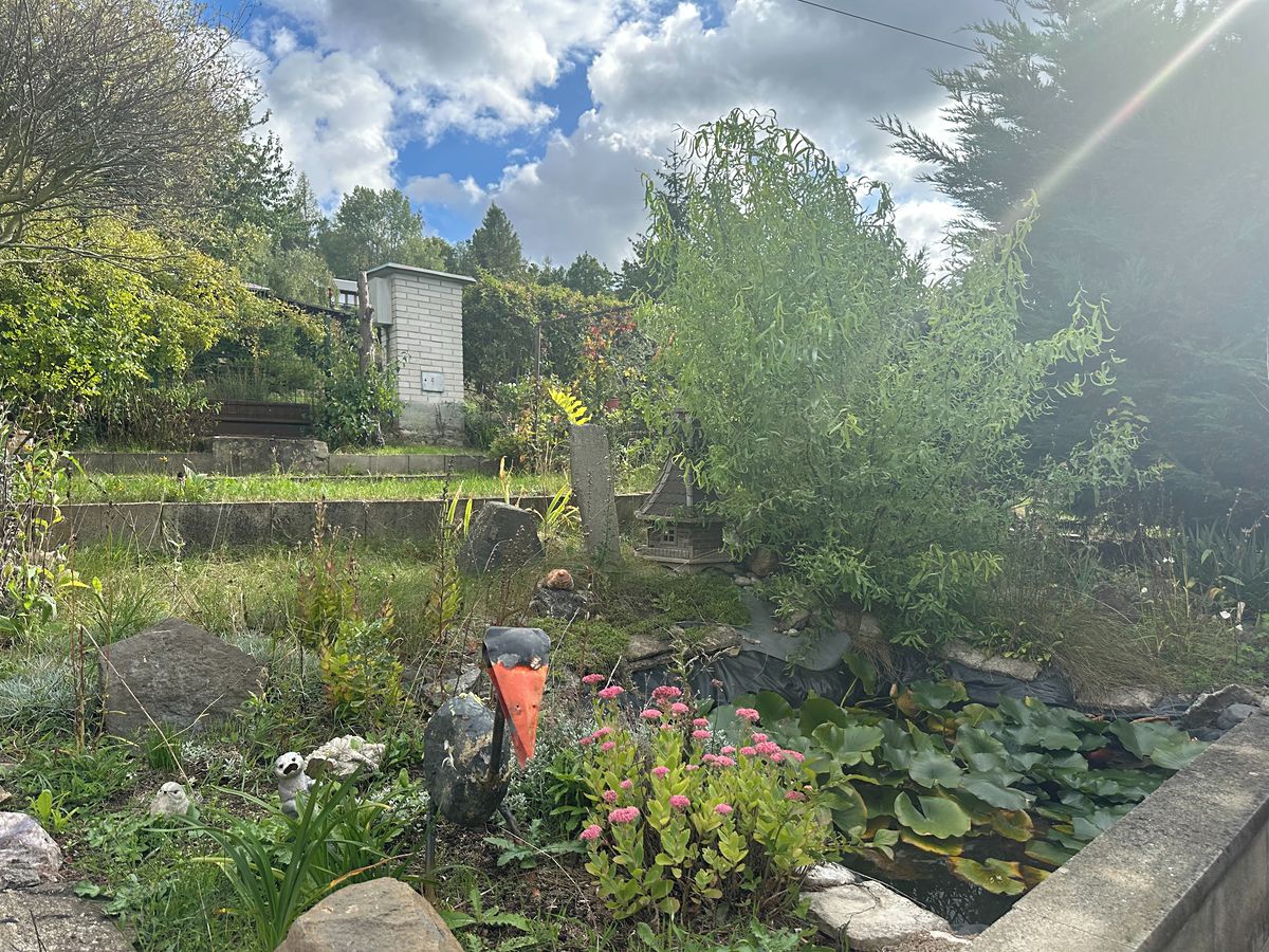 Prodej chaty 46 m², pozemek 380 m² – fotografie 4