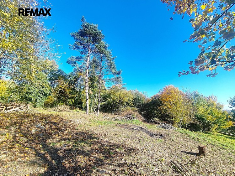 Grundstück zum Kauf, 3.646 m² (11 von 14)