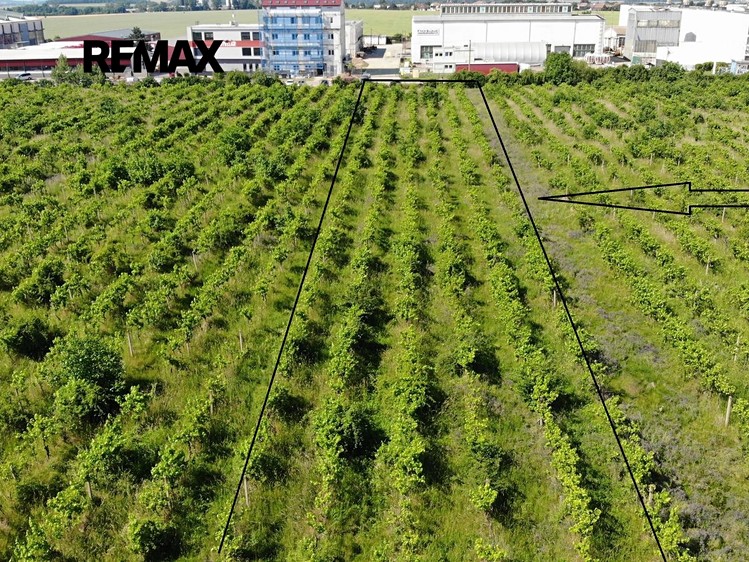 Ділянка на продаж, 2 465 м² (1 з 5)