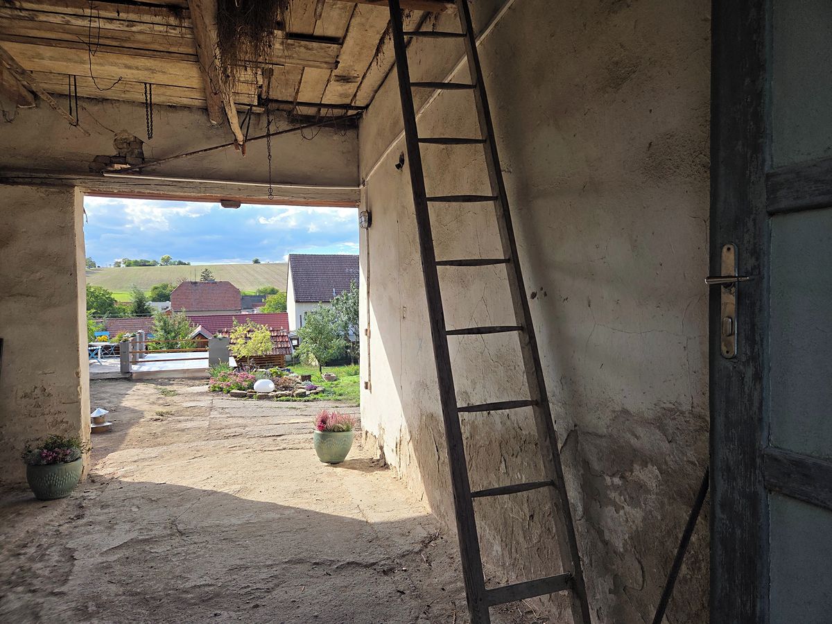 Prodej rodinného domu 120 m², pozemek 865 m² – fotografie 5