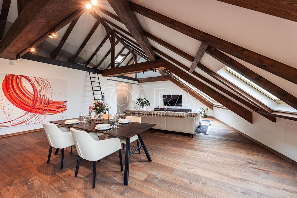 Pronájem bytu 5+kk 335 m² – fotografie 5