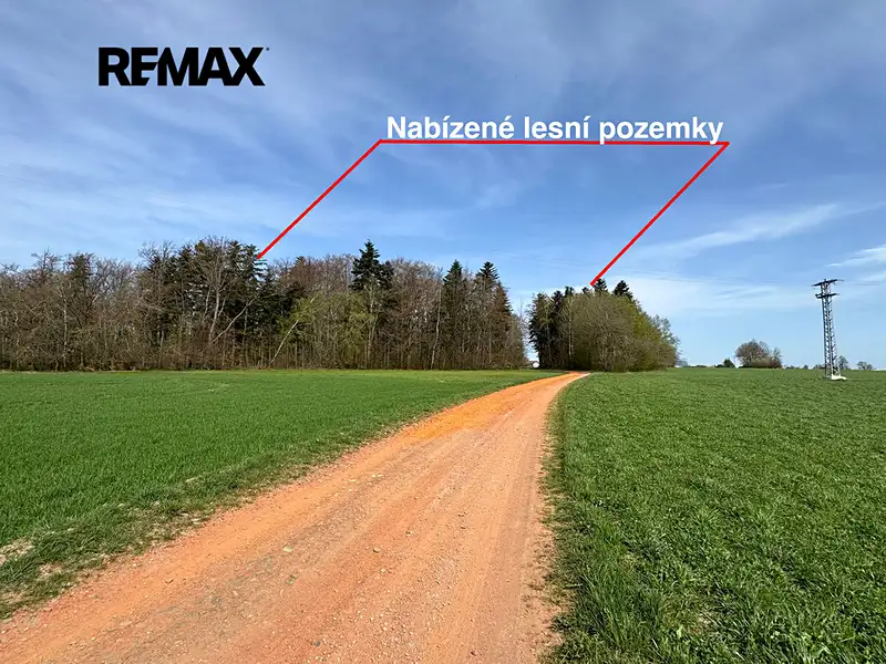 Prodej lesa 25088 m², Spálov – náhled fotky 3