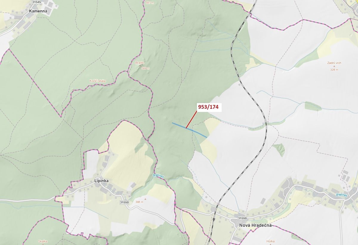 Dražba lesa 6275 m², Nová Hradečná – fotka 1 z 3