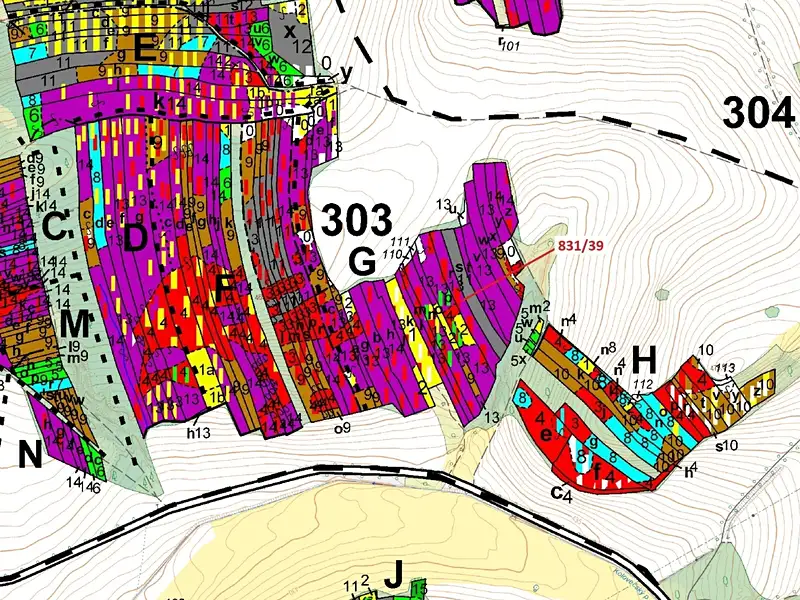 Dražba lesa 3368 m², Koloveč – náhled fotky 3