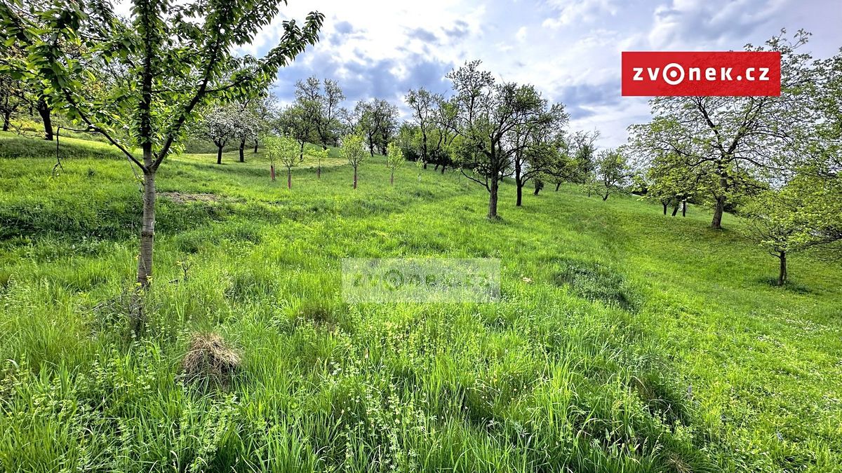 Prodej zahrady 852 m² – fotografie 2