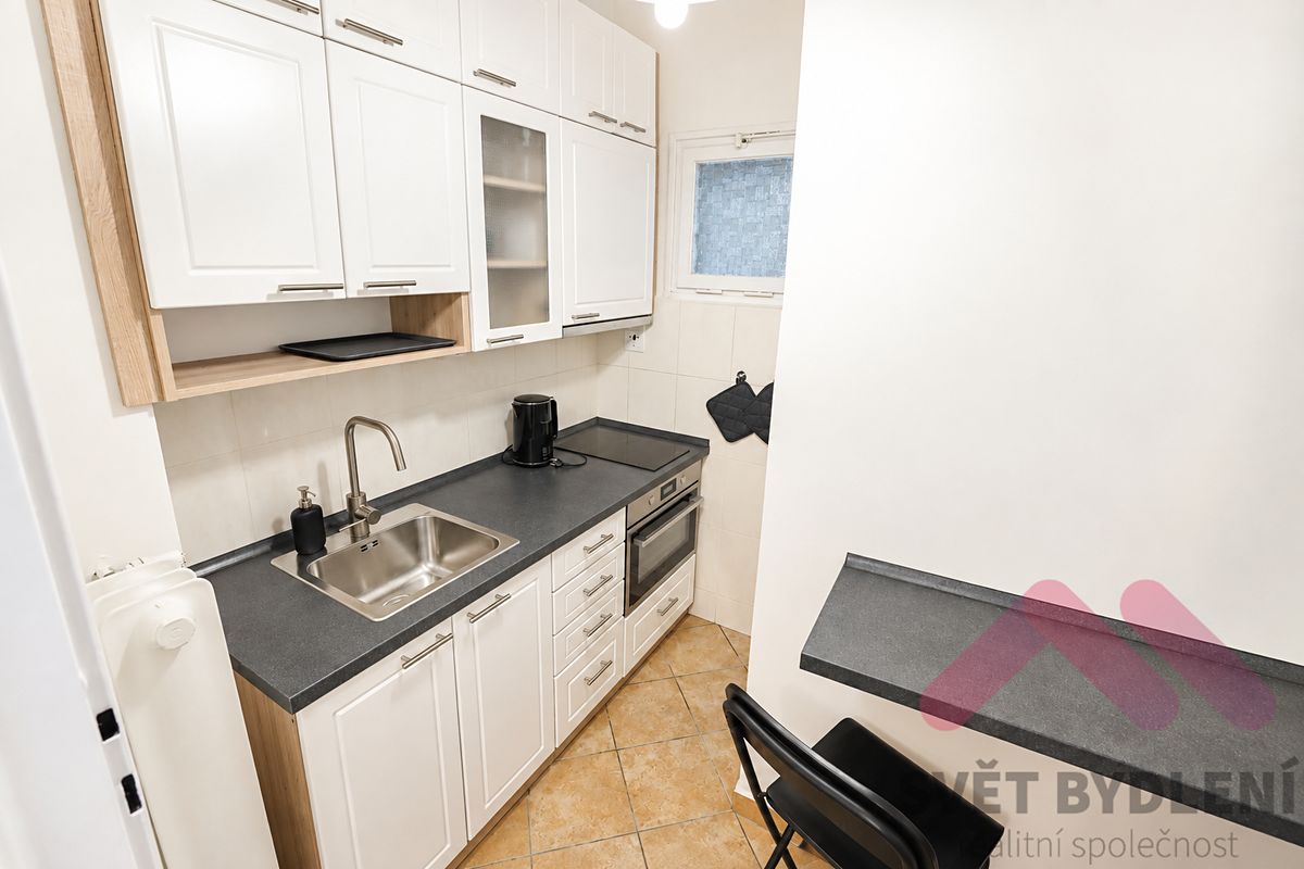 Pronájem bytu 1+kk 30 m² – fotografie 3