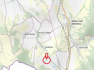 Prodej lesa 2959 m²