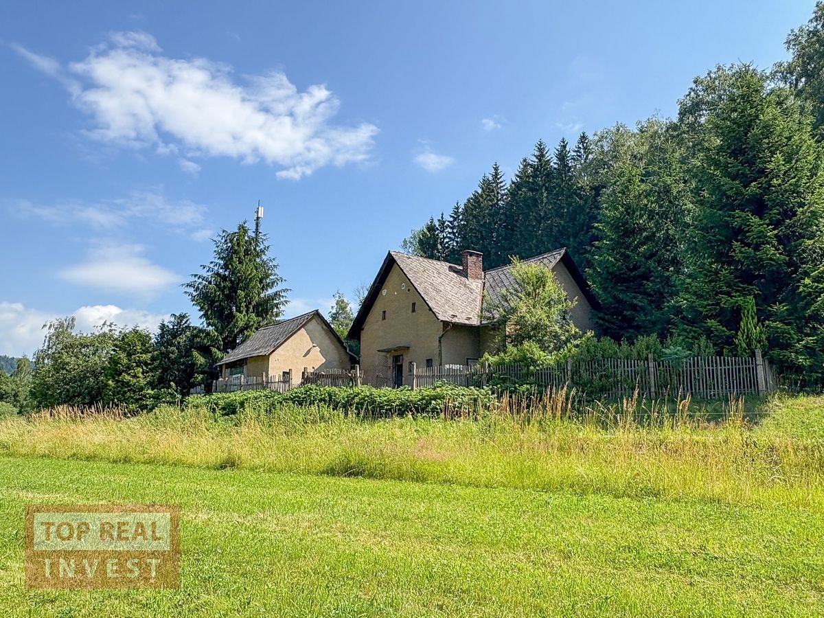 Prodej chaty 167 m², pozemek 706 m², Orlické Podhůří – fotka 1 z 3