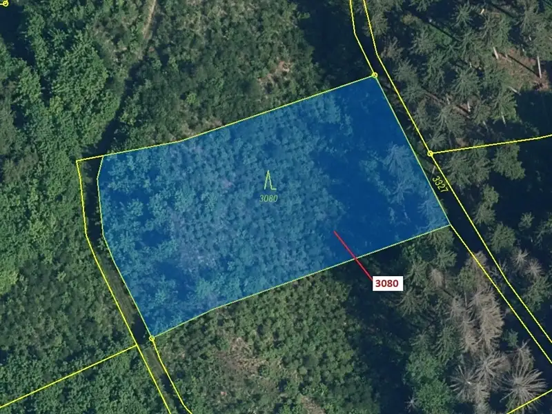 Dražba lesa 2540 m², Benešov u Semil – náhled fotky 2