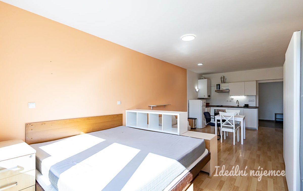 Pronájem bytu 1+kk 40 m²