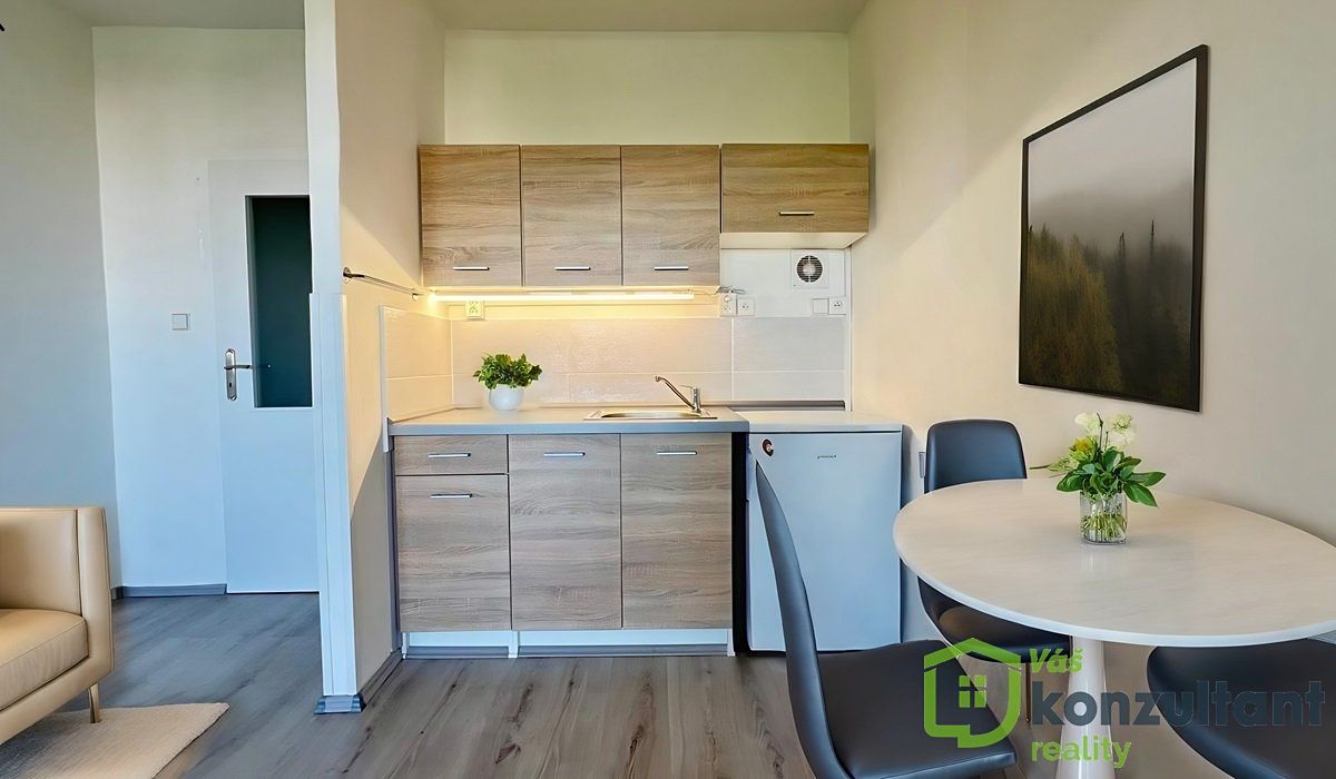 Pronájem bytu 1+kk 28 m² – fotografie 3
