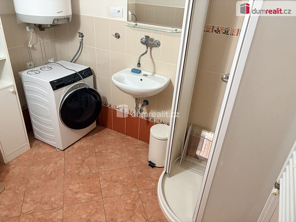 Pronájem bytu 1+kk 35 m² – fotografie 3