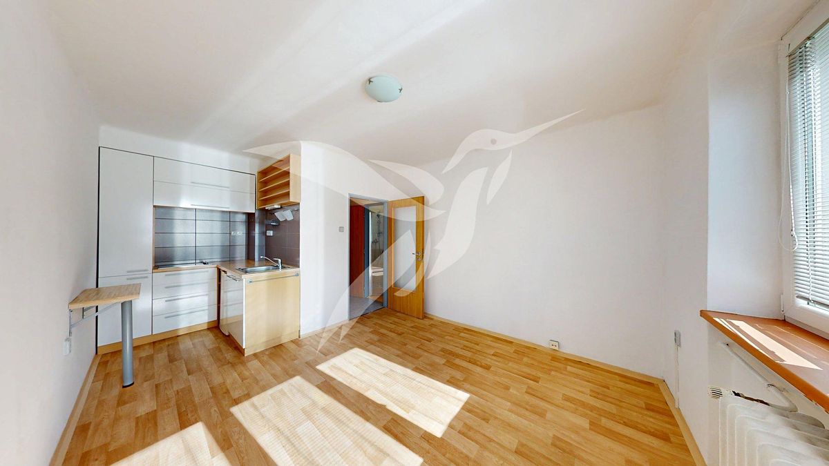 Pronájem bytu 1+kk 18 m² – fotografie 4