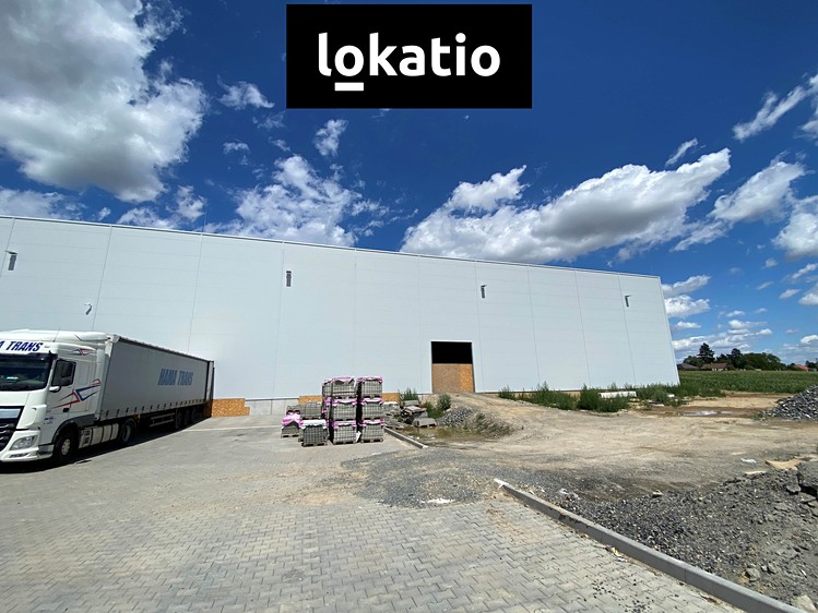 Комерційне приміщення в оренду, 3 078 м² (6 з 8)