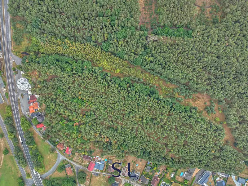 Prodej komerčního pozemku 20062 m², Sosnová – náhled fotky 3