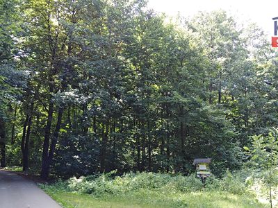 Prodej lesa 2404 m²