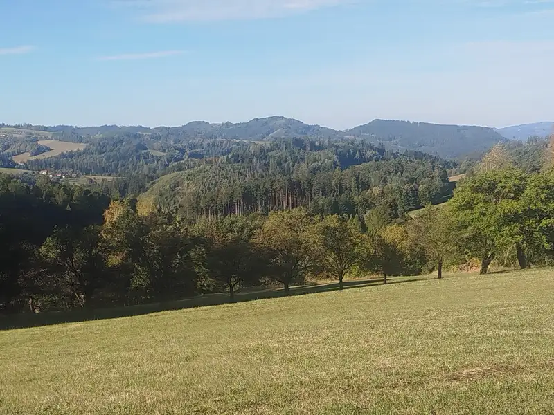 Prodej stavebního pozemku 2400 m², Valašská Bystřice – náhled fotky 2
