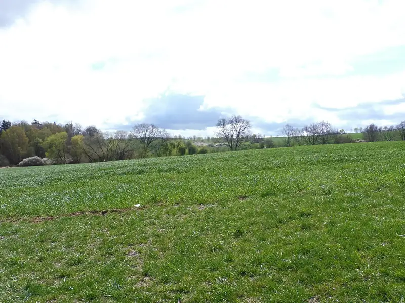 Dražba pozemku 15282 m², Chotýšany – náhled fotky 2