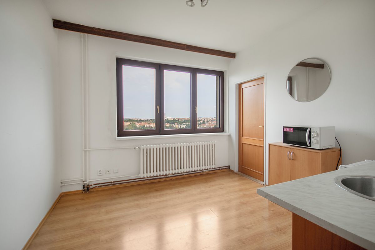 Pronájem bytu 1+1 25 m² – fotografie 5