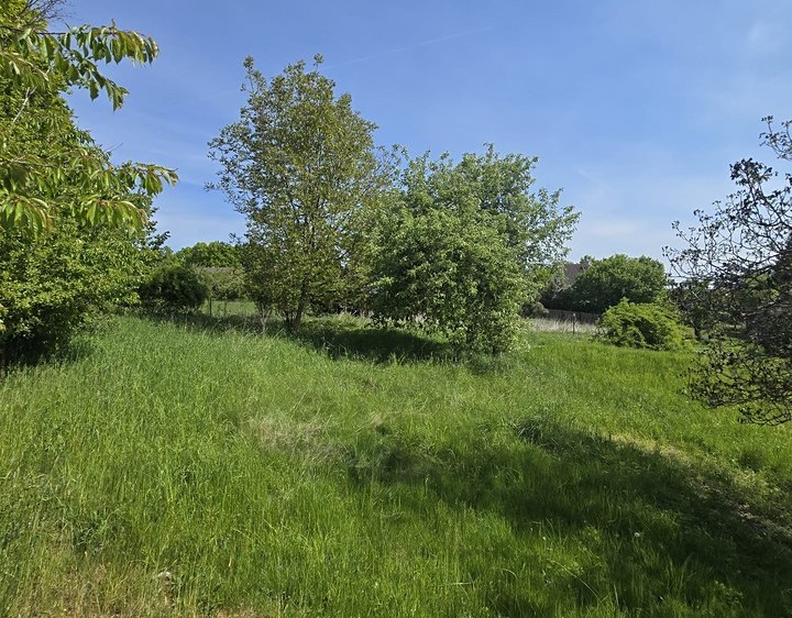 Ділянка на продаж, 731 м² (6 з 10)
