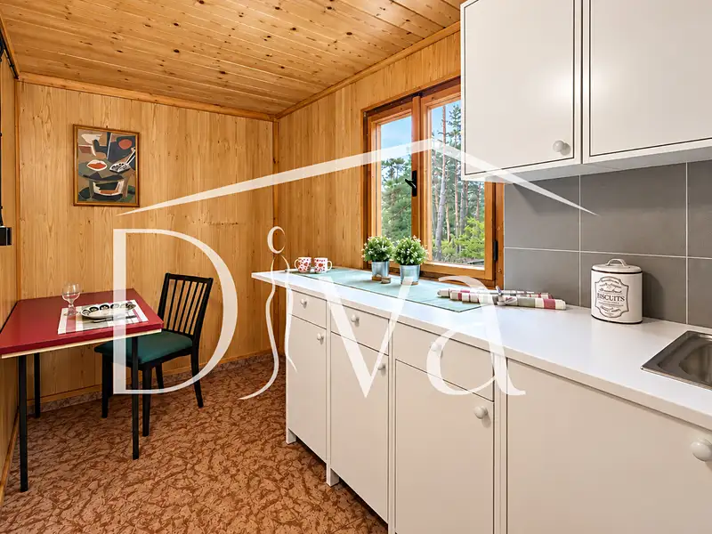 Prodej chaty 43 m², pozemek 730 m², Budišov – náhled fotky 3