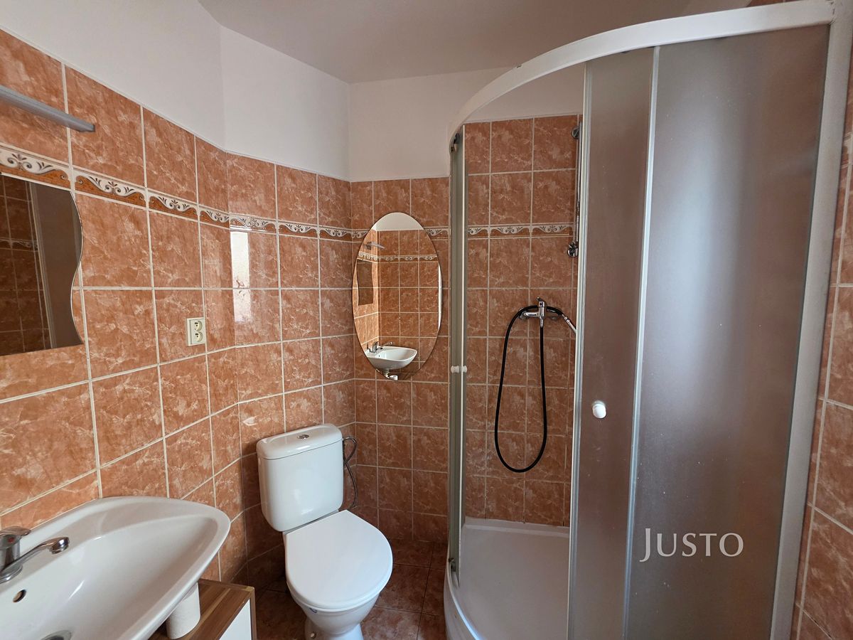 Pronájem bytu 1+1 43 m² – fotografie 3