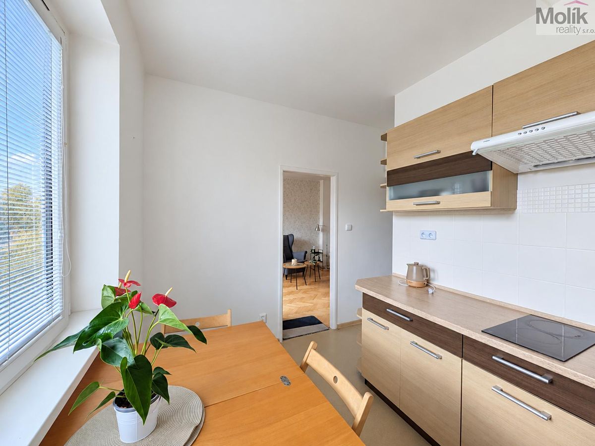 Pronájem bytu 2+1 49 m² – fotografie 3