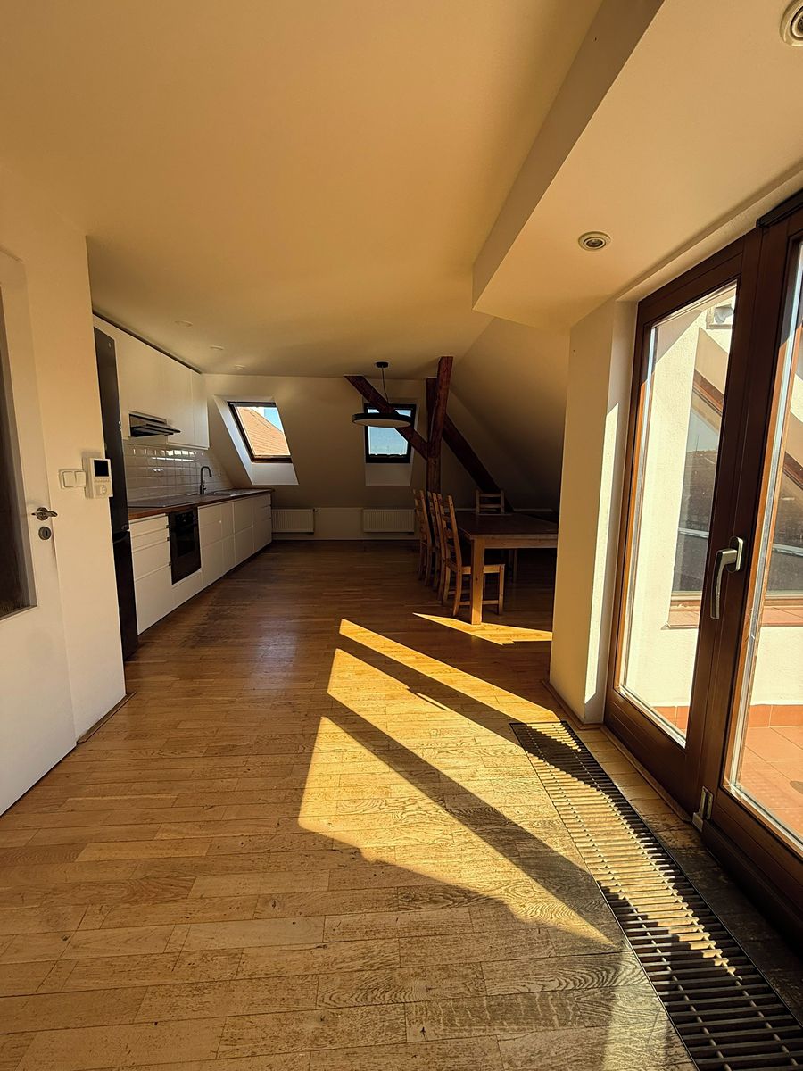 Pronájem bytu 4+1 156 m²
