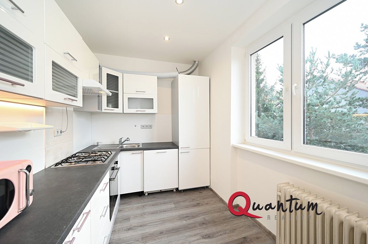 Pronájem bytu 2+1 49 m² – fotografie 4