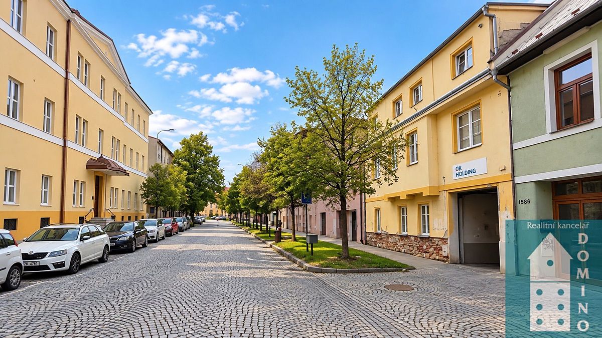 Prodej vícegeneračního domu 675 m², pozemek 3052 m² – fotografie 4