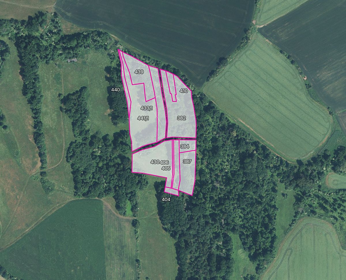 Prodej lesa 18766 m², Liběšice – fotka 1 z 3