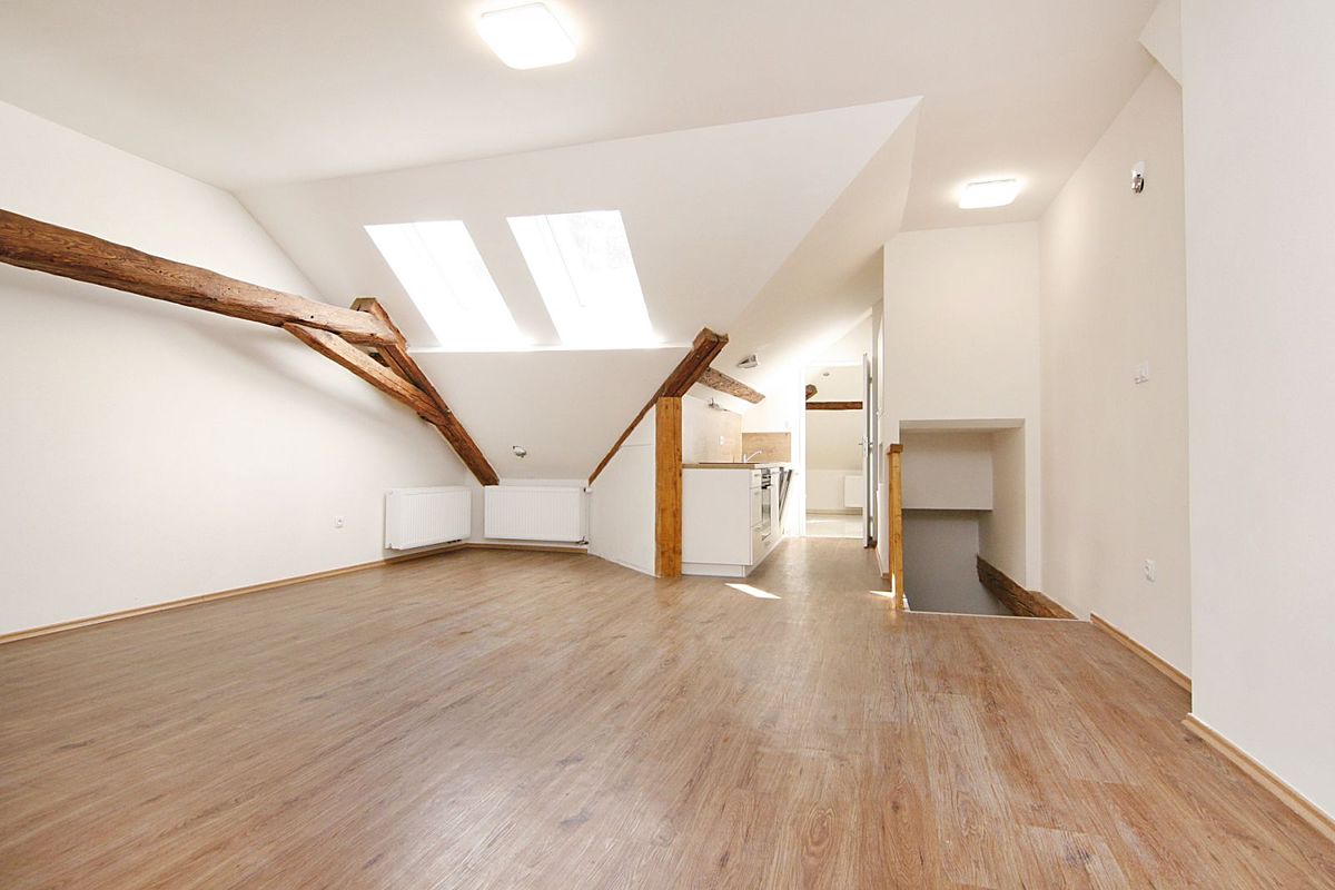 Pronájem bytu 1+kk 48 m²