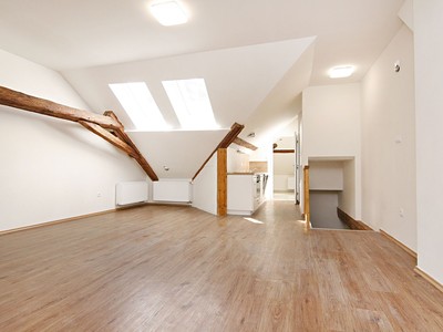 Pronájem bytu 1+kk 48 m²