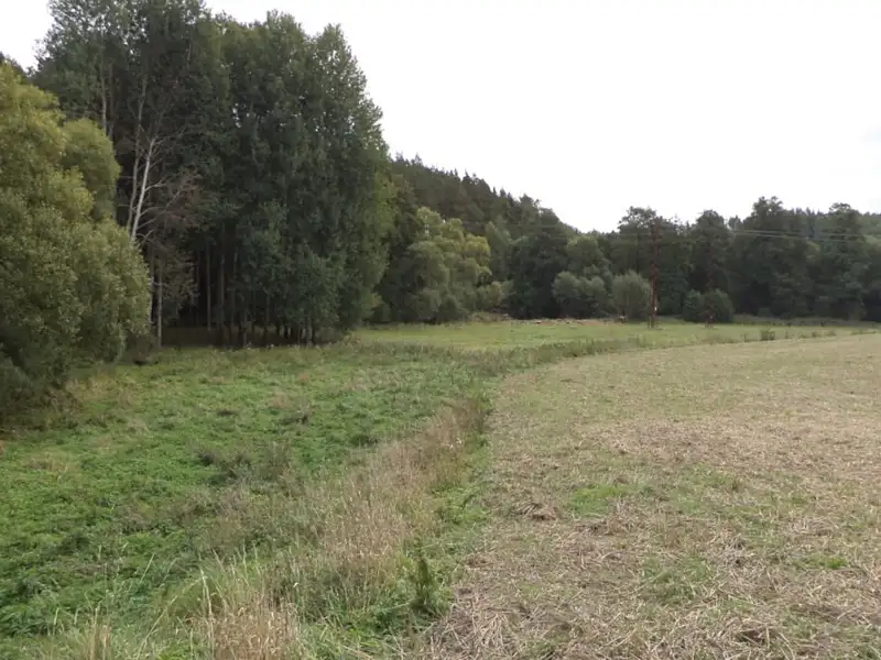Dražba louky 58887 m², Tachov – náhled fotky 1
