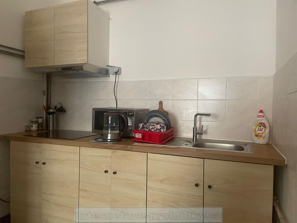 Pronájem bytu pokoje 16 m² – fotografie 4